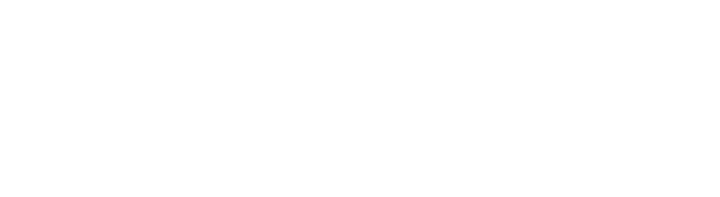 Website Development Services